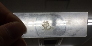 岩石薄片（岩石を光が通るほどの厚さ（0.03mm）に削って薄くしたもの）4