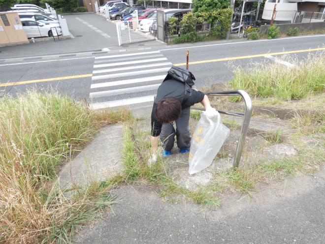 多摩川美化活動1