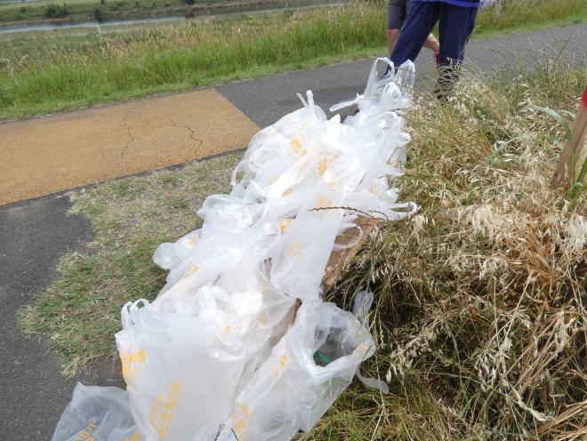 多摩川美化活動2