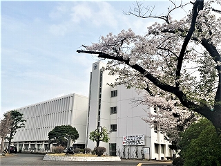 令和6年度入学式校舎と桜