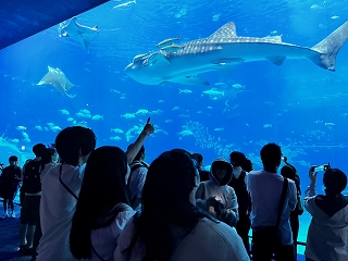 令和6年5月22日美ら海水族館での生徒達