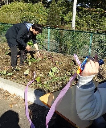 さつまいもをほっている