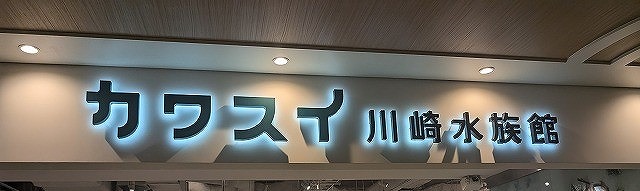 kawa5