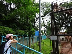 生徒が動物を見ている様子