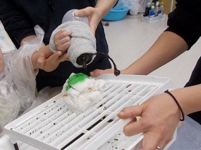 Tシャツを染めています