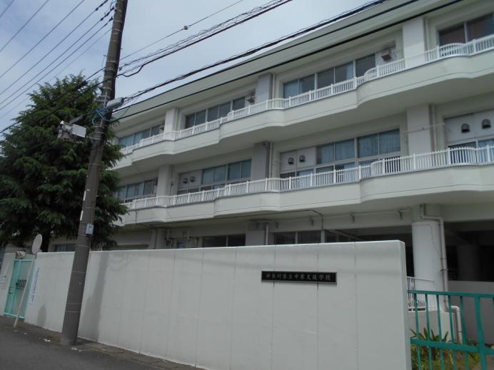 DSCN6252.jpg