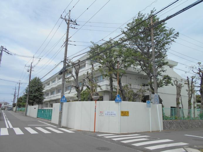DSCN6253.jpg