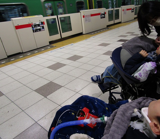 電車を見ている様子