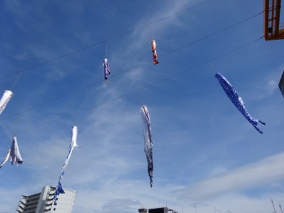 空のジンベイザメ