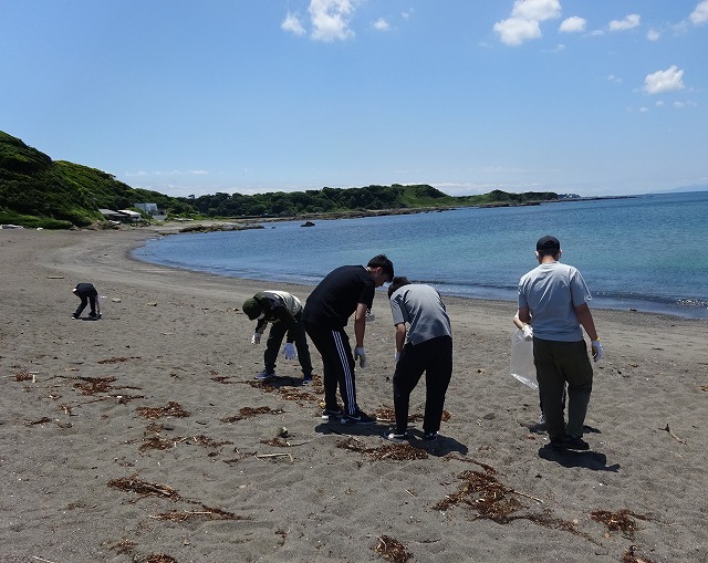 海岸清掃活動
