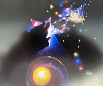 食後は、スヌーズレンで癒される夜の集いを行いました。