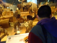 3年遠足の様子6