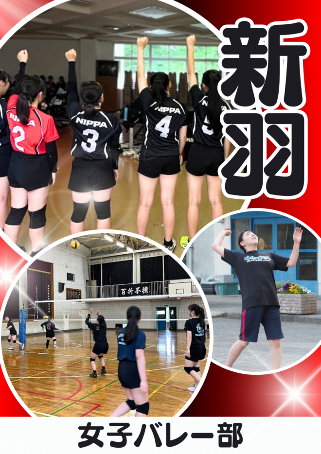 女子バレーボール部｜神奈川県立新羽高等学校