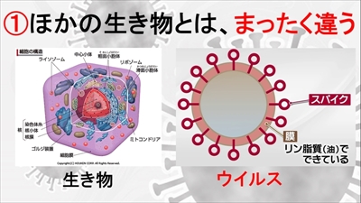 ウイルスに関する授業教材写真2