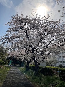 2025年入学式004