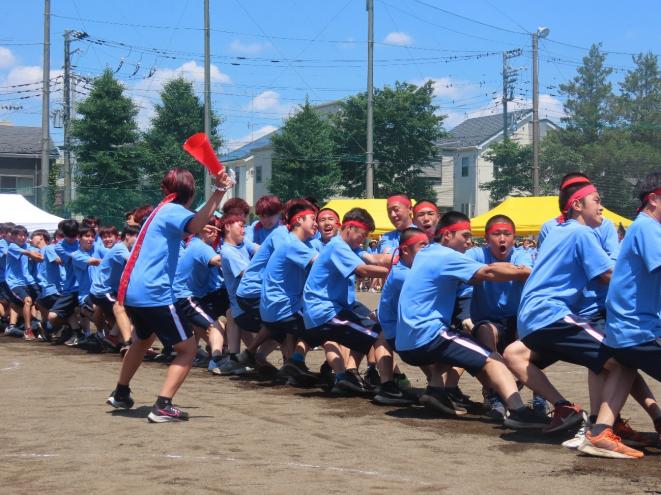 体育祭綱引き