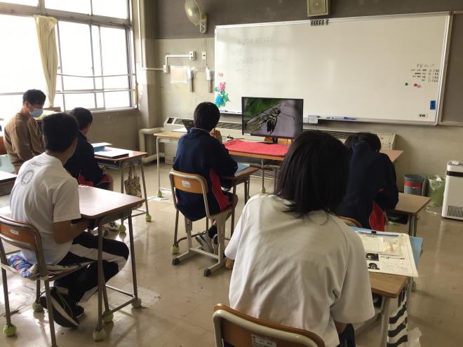観察2