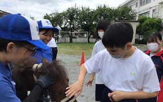 ポニー2