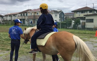 ポニー3