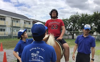ポニー4