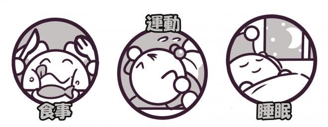 食事・運動・睡眠