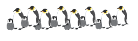 ペンギンの大群
