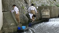 ikimono1