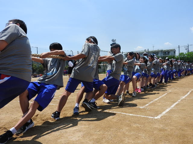 綱引き