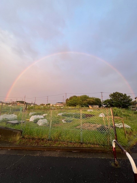 虹2