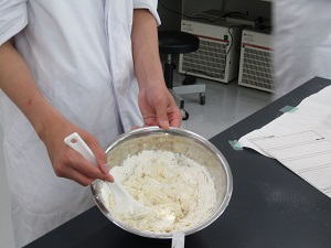 パン作り（天然酵母による発酵実験）