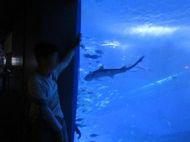 r7shousyuugakuryokou1