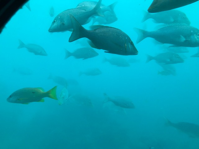 2学年修学旅行の画像