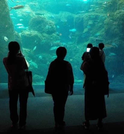 江ノ島水族館