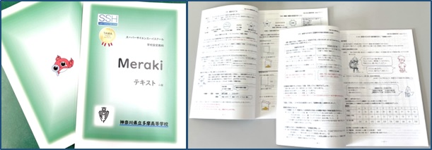 meraki_text_2nd_book