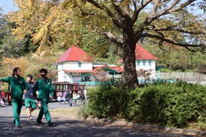 マラソンの様子