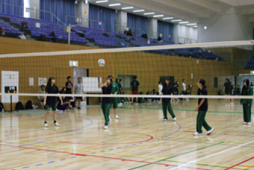 バレーボールの様子