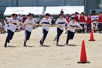 タイフーン