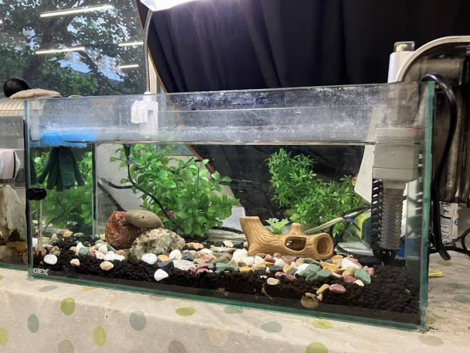生物部活動写真4