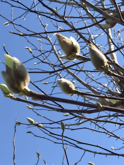 巻頭言イメージ02