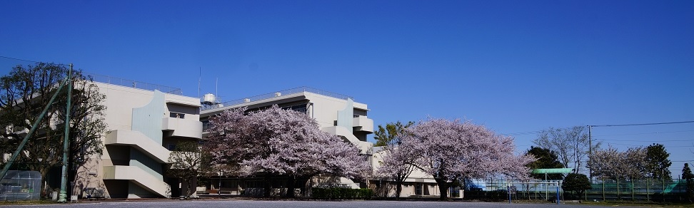 グラウンドから桜と校舎