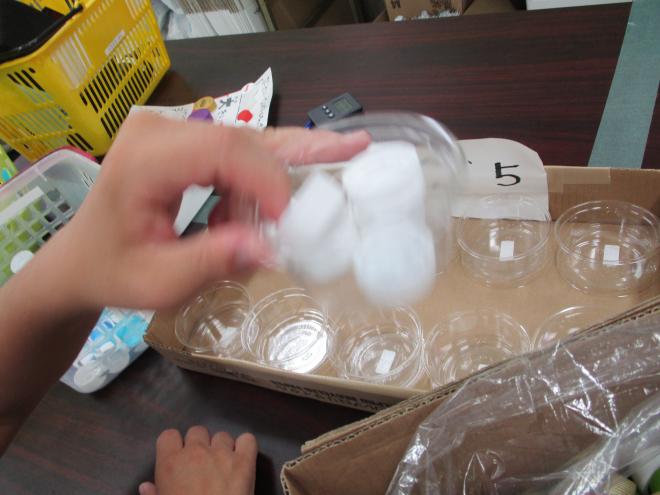 ハウスワークユニットの作業の様子9