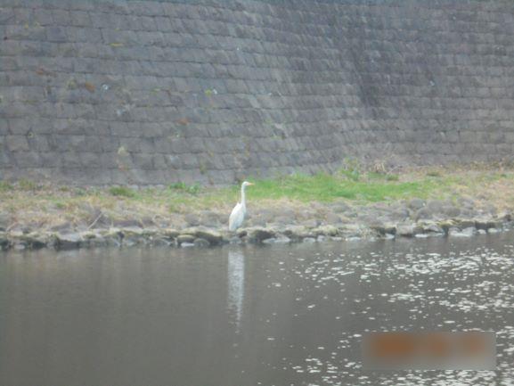 3月18日(水曜日)の生徒のようす20