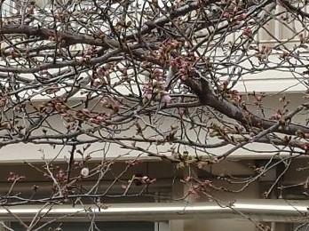 3月18日(水曜日)の生徒のようす21