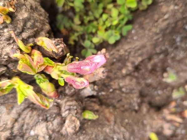 3月18日(水曜日)の生徒のようす22
