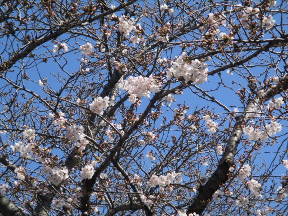 3月24日(火曜日)の生徒のようす19