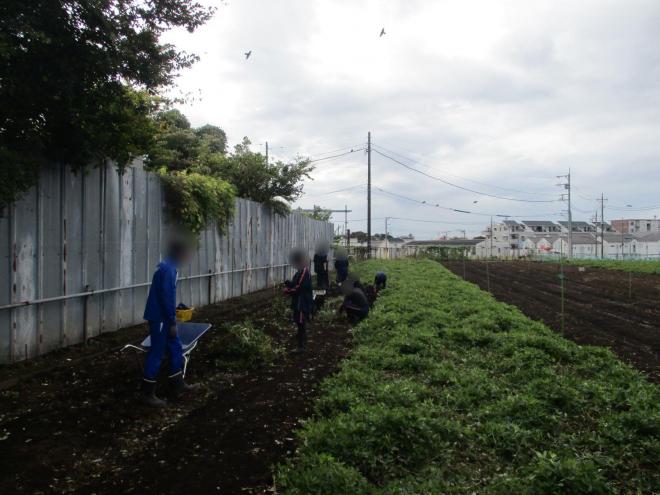 11月6日(木曜日)の生徒のようす02