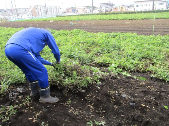 11月6日(木曜日)の生徒のようす03