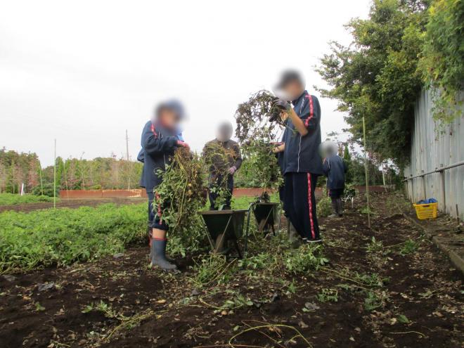 11月6日(木曜日)の生徒のようす05