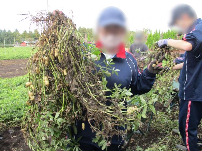 11月6日(木曜日)の生徒のようす06