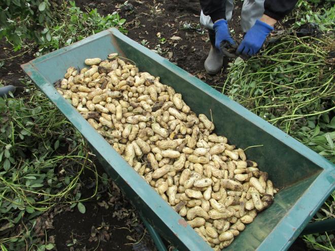 11月6日(木曜日)の生徒のようす09